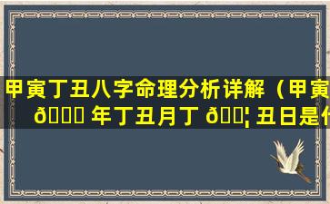 甲寅丁丑八字命理分析详解（甲寅 🍀 年丁丑月丁 🐦 丑日是什么命）